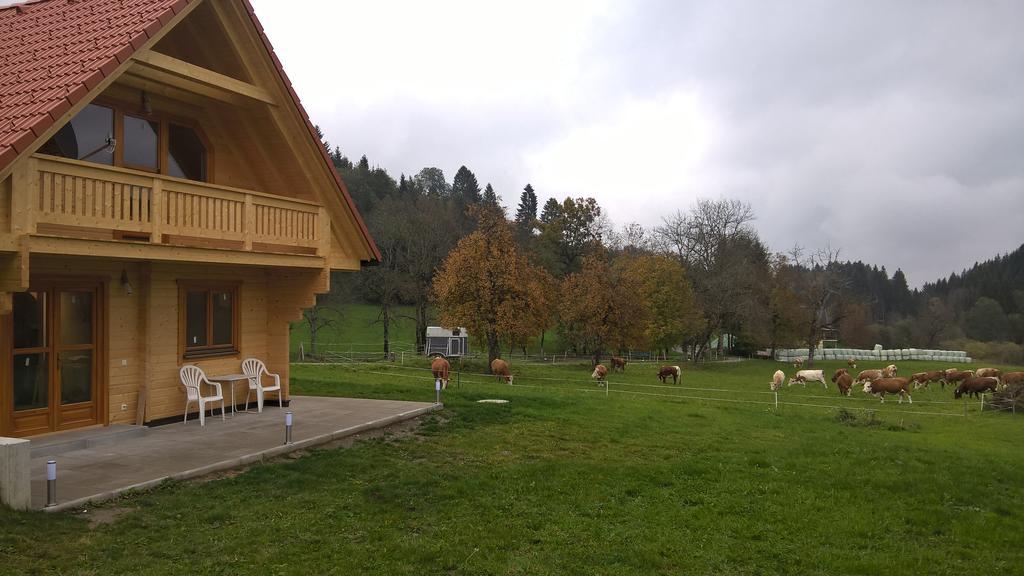 Ferienhaus Dorfruhe Sankt Stefan an der Gail Kamer foto